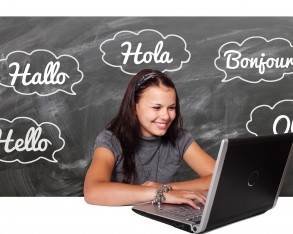 Online zum  Sprachenprofi
