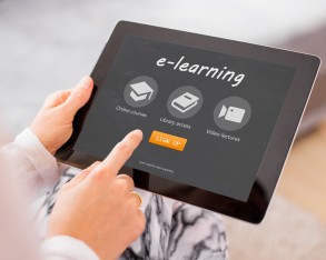 E-Learning im  Prozessmanagement